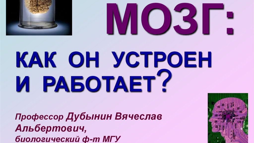 Мозг_ как он устроен и работает - Лекция 7