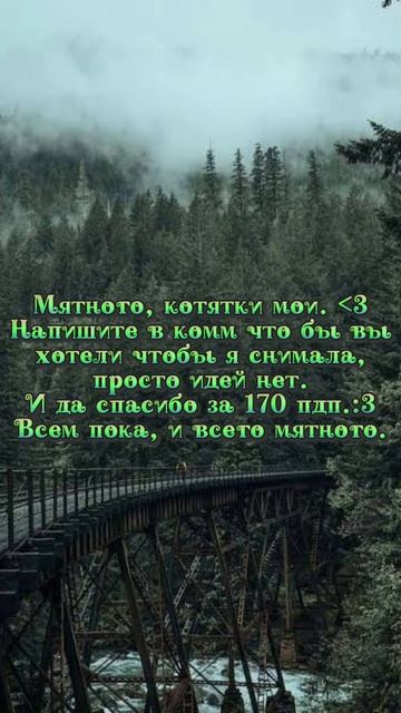 Что то.|Жду комм.)