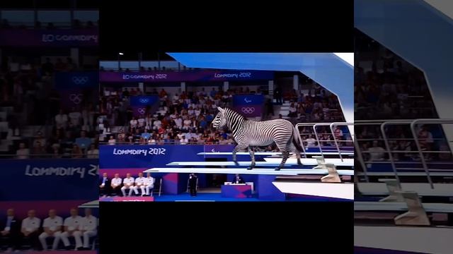 Чемпионат мира по прышкам в воду!!! Создано искусственным интеллектом!!