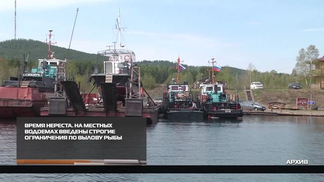 На местных водоемах введены строгие ограничения по вылову рыбы 24-04-2026