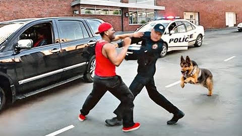 65 ЖИВОТНЫХ-ГЕРОЕВ КОТОРЫЕ СПАСЛИ ЖИЗНИ ЛЮДЕЙ