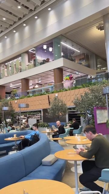 Я что, во сне?