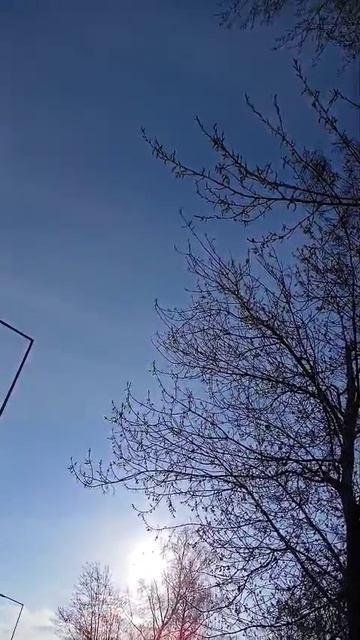 Радуйся ЧУДУ ПО ИМЕНИ ЖИЗНЬ!!!