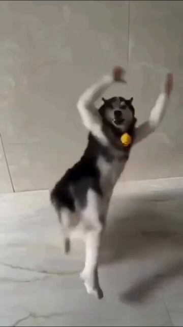 Вперед к выходным!