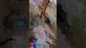 подпишись на подругу в тик ток