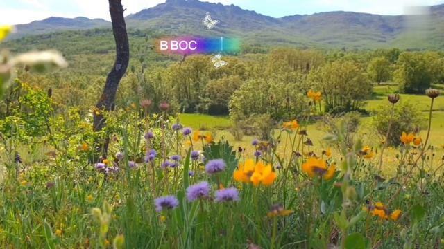 Почему у кого-то есть всё, а у кого- то ничего? Мудрая притча о желаниях.