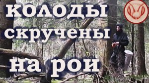 Колоды скручены на рои