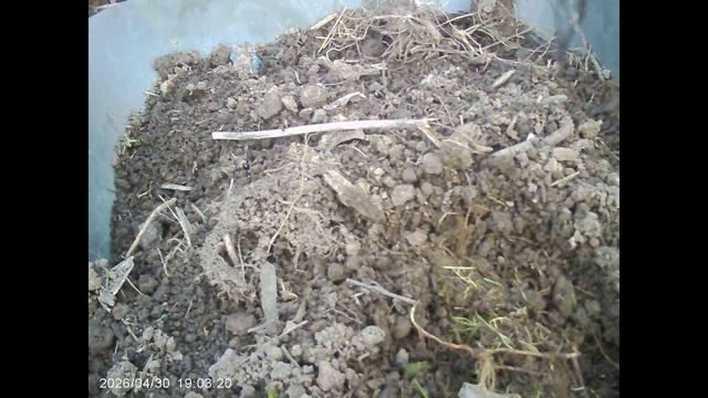 Так вот ты какой _-Ракомболь-