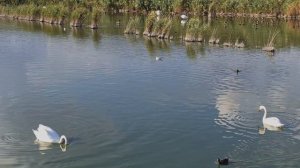 Окрестности санатория«Сакрополь».Побывали на трёх озерах.Крым г.Саки-13.09.2025 год.