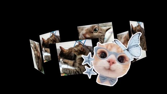 1000003012.mp4