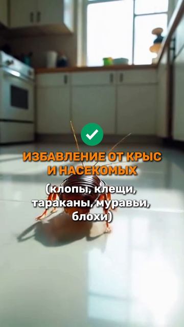 СЭС-сервис CleanON