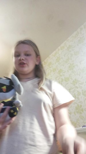 приборкаа
