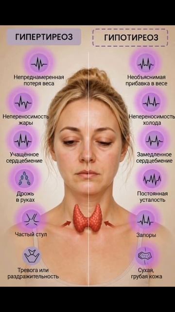 Гипертиреоз и гипотиреоз