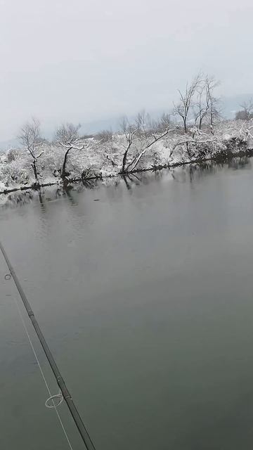 Winter Duck Hunting With Dachshund Hubi #охота #охотник #охотничиймир #охотничьяжизнь