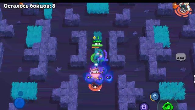 Браво старс