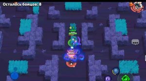 Браво старс