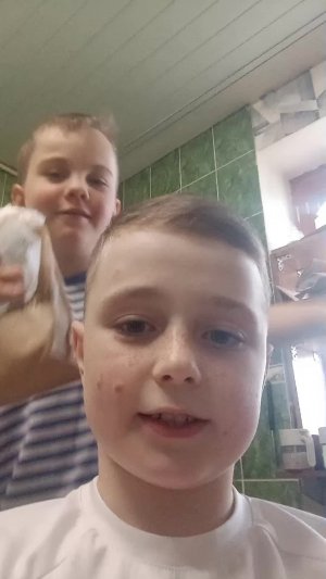 щявуха