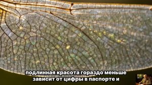 СЕКРЕТ КОТОРЫЙ ТЫ ПРЯЧЕШЬ — Он ПРИТЯГИВАЕТ настоящую ЛЮБОВЬ
