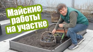 Работы в саду и огороде в мае