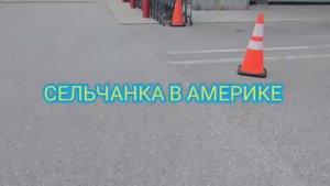 Сельчанка в Америке СУПЕР РАСПРОДАЖИ В КОСТКО