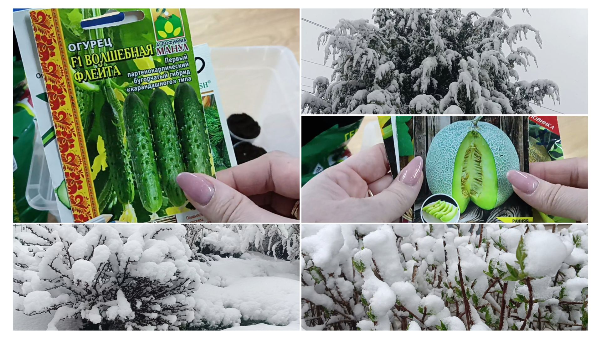 Апрельская зима. Приступила к посевной.