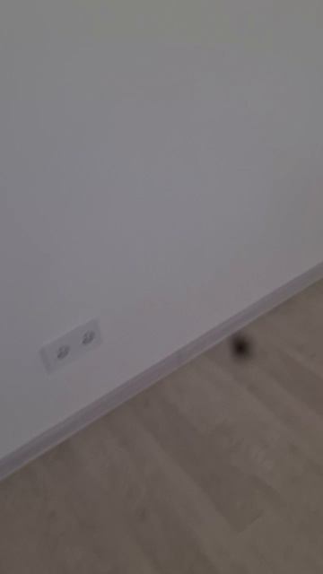482.mp4