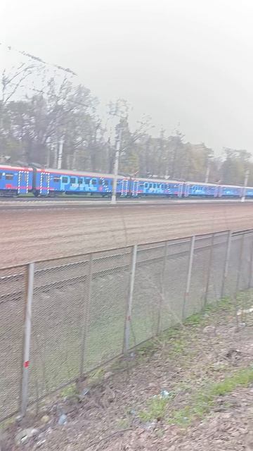 эп2д Рекс 289