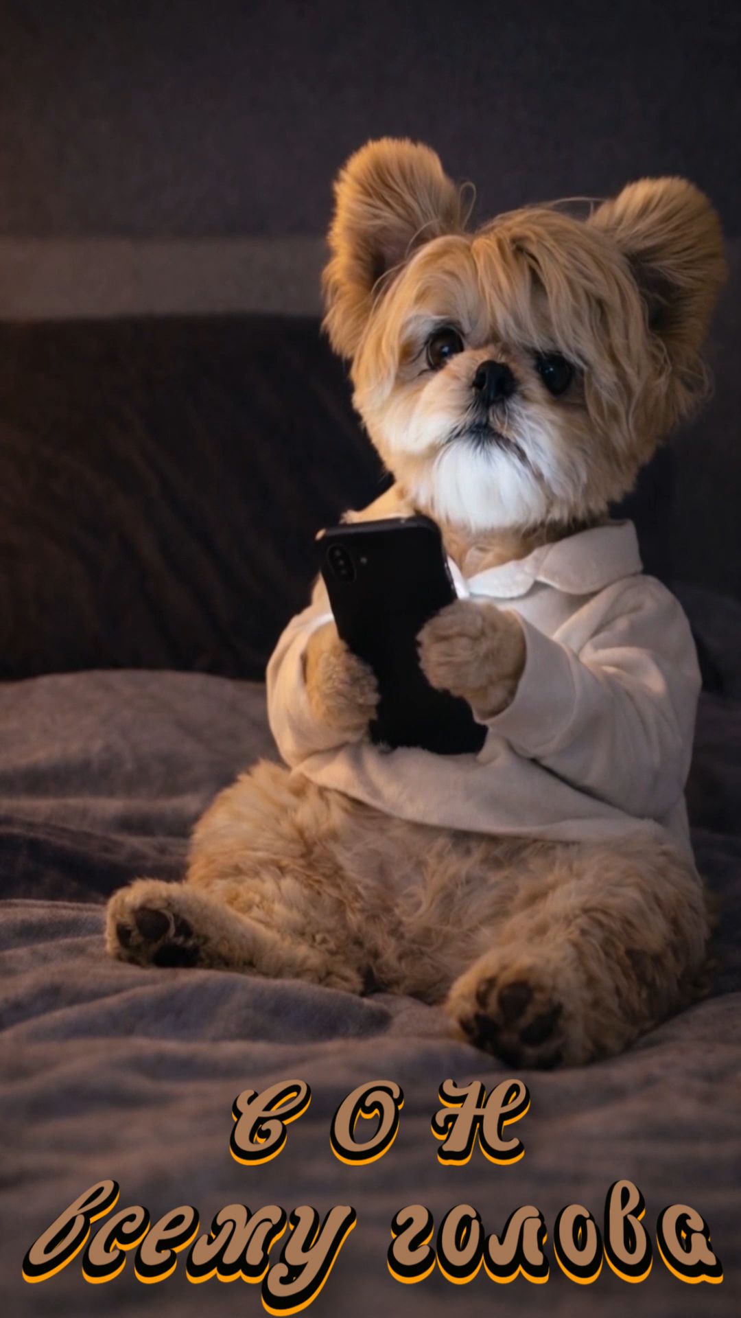 Доброй ночи