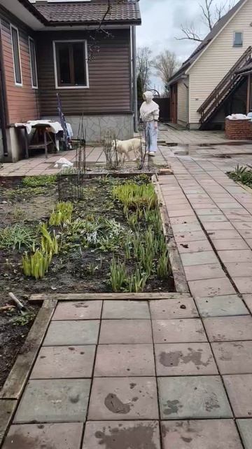 Сары Шайтан Этель в новой семье. Любовь и забота на все 100!!!