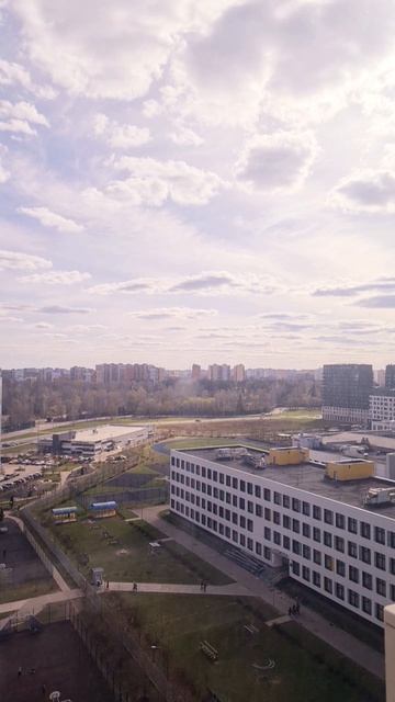 Новая картина 