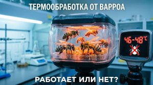 Термообработка пчёл от варроа: работает или нет? Отвечает профессор Кашковский 🔥🐝