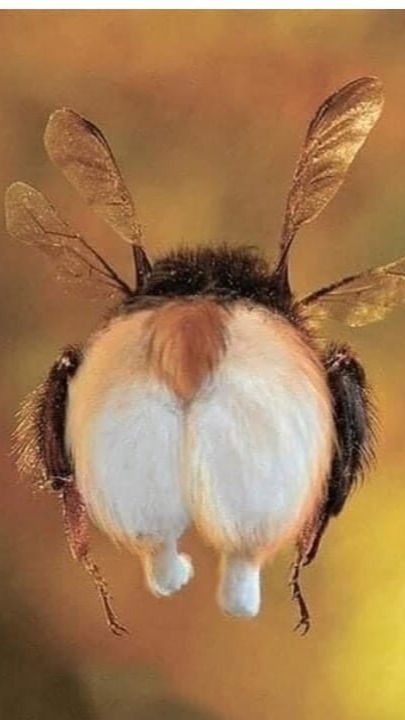 ЗАИГРАЛИСЬ...😆😆😆