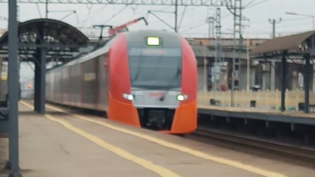 Скоростные поезда Сапсаны, Ласточки и Аврора на Московском ходу Октябрьская железная дорога.