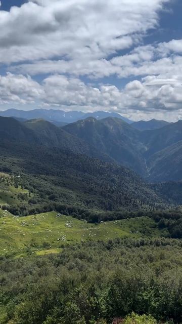 Так выглядит лекарство для души