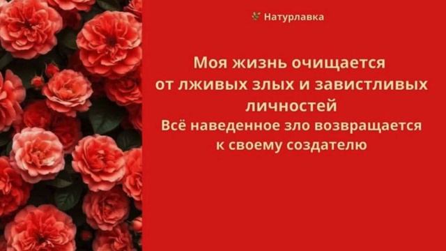Всё наведенное зло возвращается к своему создателю.