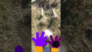 poppy playtime 6 в реальной жизни и я прошол
