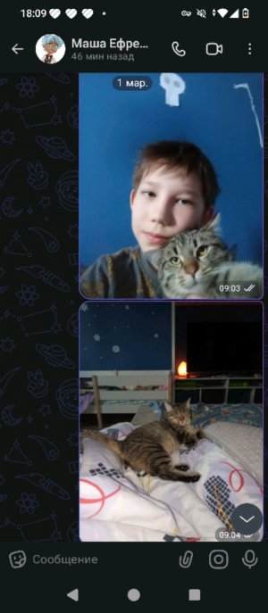 день рождения моего котёнка 2
