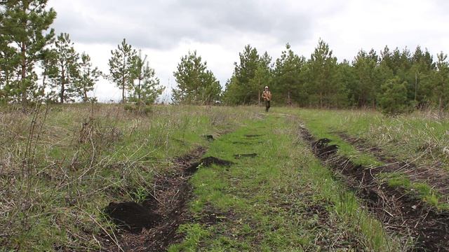 первый пеший поход в этом году