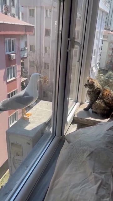 Межведомственное взаимодействие