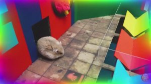 Хомяк против УДИВИТЕЛЬНОГО ЦИФРОВОГО ЦИРКА 🤡 Приключения в новом свете! серия 11