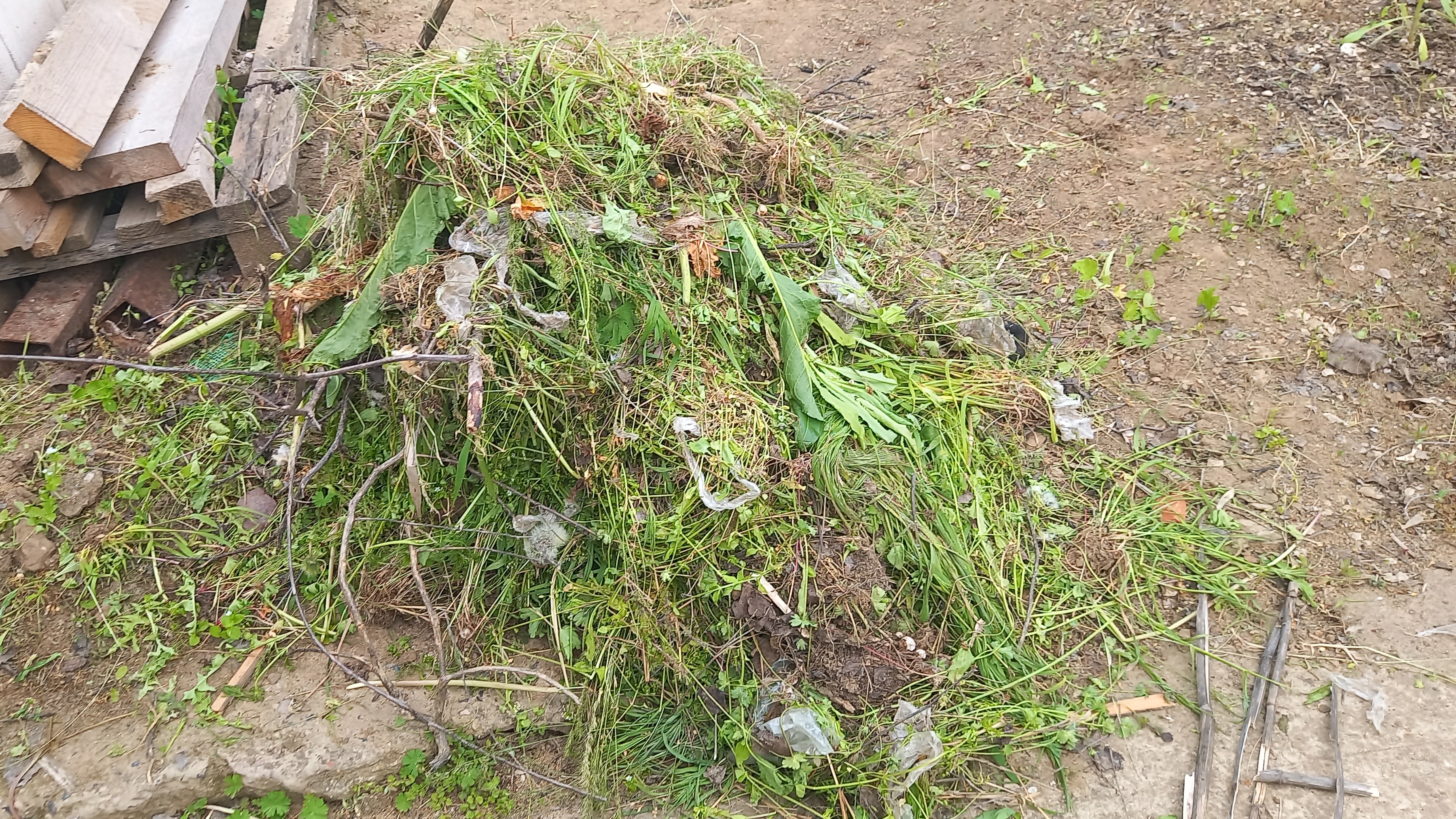 Всё ещё норм #3