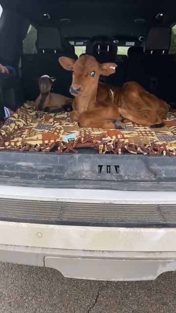 Такой концовки я и сам не ожидал (280)