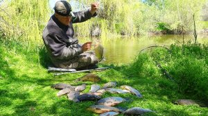 ТУТ МНОГО КРУПНОГО КАРАСЯ и МЕЛОЧИ НЕТ! РЫБАЛКА НА КАРАСЯ. Ловля на поплавочную удочку.