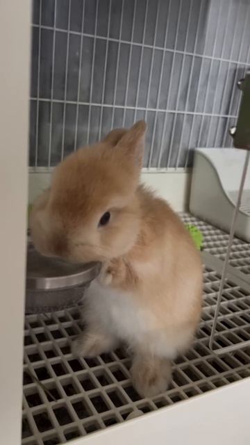 Video_2026-03-22_11-55-59