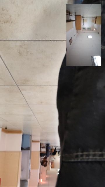 смешные ролики😄