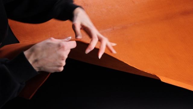 4+ чепрак рыжий