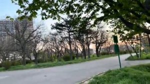 ОДЕССА 30 АПРЕЛЯ 2026. КОГДА УЖЕ НАС ОСТАВЯТ В ПОКОЕ «ПАРТНЕРЫ»!АНТИРЕЙТИНГ ТРАМПА. УКРАИНА-ПОЛИГОН