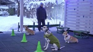 Золотой фонд задач для золотых медалистов