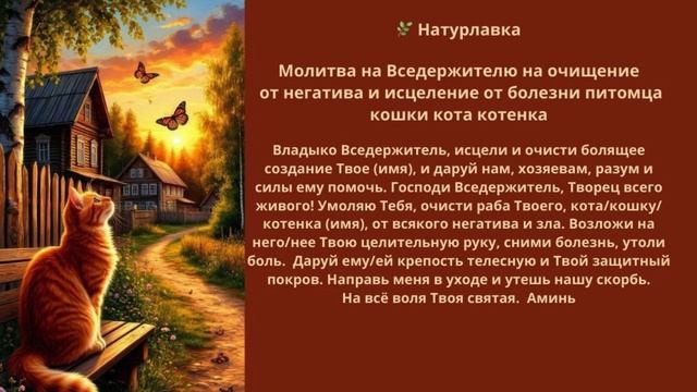 Молитва очищение от негатива и исцеление от болезни питомца