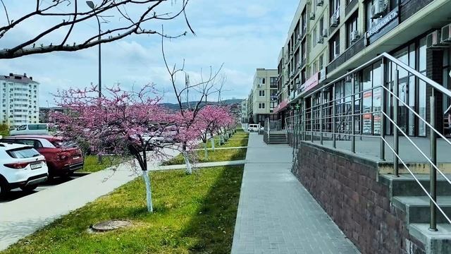 Буузы, которые вернули в Забайкалье: Запах баранины и чай с молоком | Настоящие буузы в Анапе